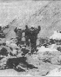  维琴察青年军崛起，逼平博洛尼亚展现潜力